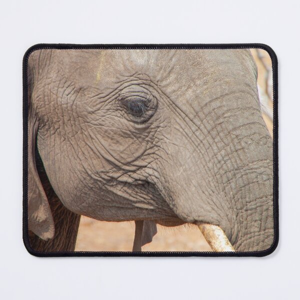 Item preview, African Elephant's Eye View Close Up designed and sold by SafariByMarisa.