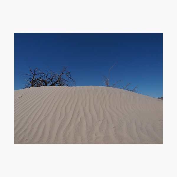 Mini Dune Photographic Print