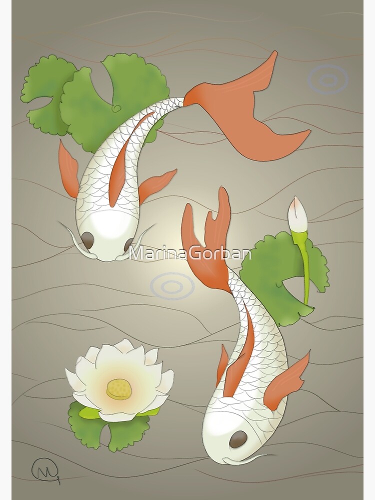 Koi fish pond aerial view illustration Stock Vector Image & Art - Alamy