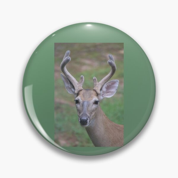 Item preview, Antler Boy - white tailed deer designed and sold by SafariByMarisa.