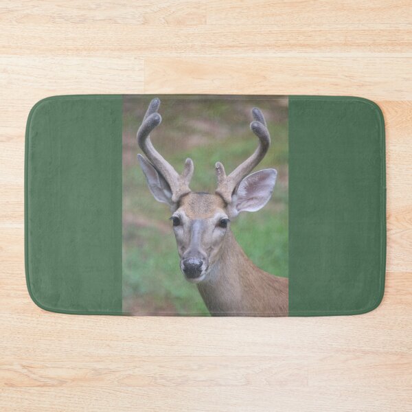 Item preview, Antler Boy - white tailed deer designed and sold by SafariByMarisa.