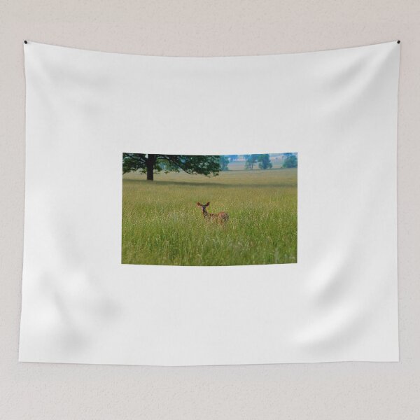 Item preview, Observer designed and sold by Rodney Williams.