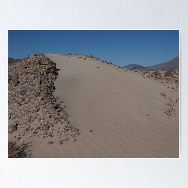 A small dune Poster