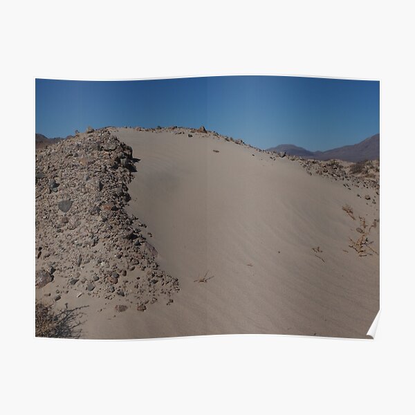 A small dune Poster