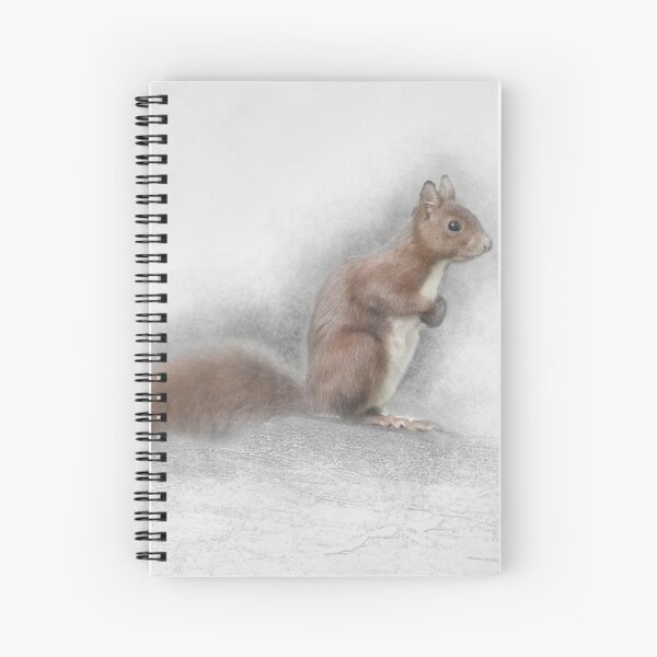 Item preview, Red Squirrel designed and sold by Mark Salmon.