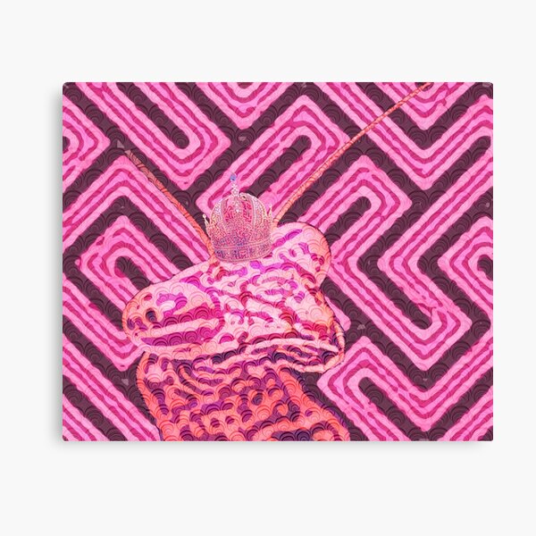 Amazing Canvas Print