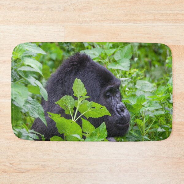 Item preview, Wild Silverback Gorilla from Bwindi National Park, Uganda designed and sold by SafariByMarisa.
