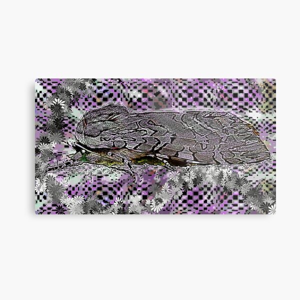 Hidden Beauty Metal Print