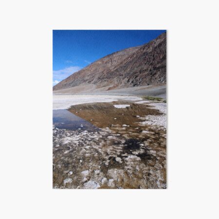 Bad Water, DVNP 2015 Art Board Print
