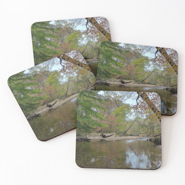 Item preview, Forest stream in eastern United States (Virginia) designed and sold by FrogSwag.