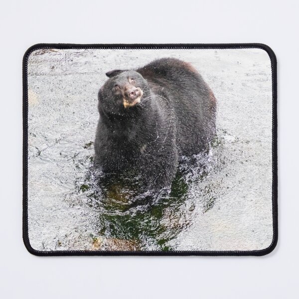 Item preview, Wet Black Bear Shaking off water designed and sold by SafariByMarisa.