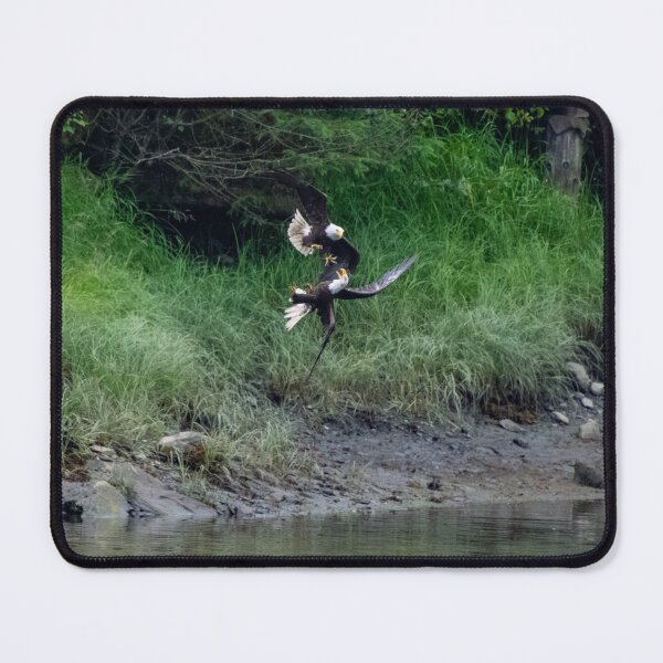Item preview, Bald Eagle fight in flight designed and sold by SafariByMarisa.