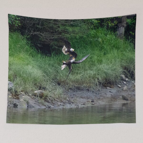Item preview, Bald Eagle fight in flight designed and sold by SafariByMarisa.