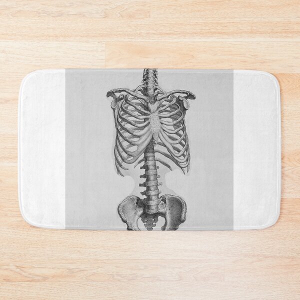 Item preview, human skeleton poster | human skeleton doctor chamber poster  designed and sold by KARTICK DUTTA.