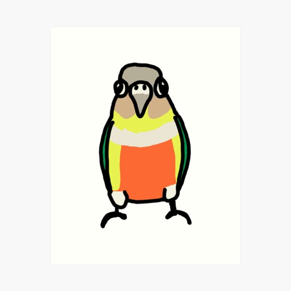 Green Cheek Conure Parrot Stock Photo  Download Image Now  Animal Animal  Behavior Animal Body Part  iStock