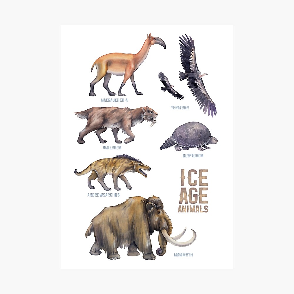 watercolor prehistoric animals watercolor prehistoric animals