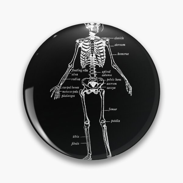 Item preview, Human skeleton diagram designed and sold by TheBrotherHouse.