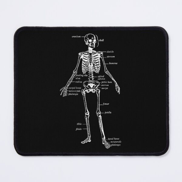 Item preview, Human skeleton diagram designed and sold by TheBrotherHouse.