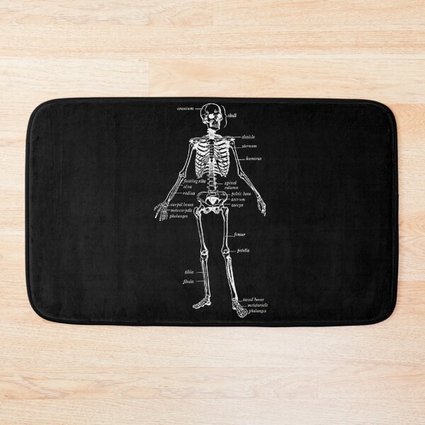 Item preview, Human skeleton diagram designed and sold by TheBrotherHouse.