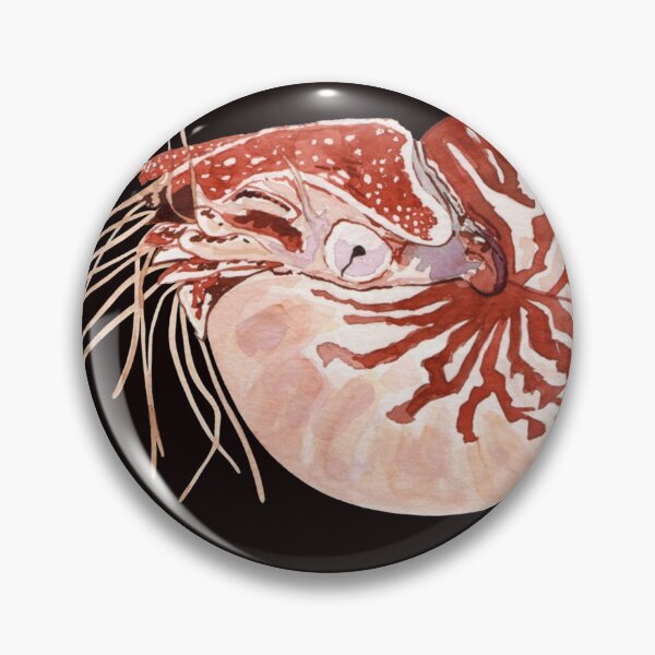 Artikelvorschau, NAUTILUS-Aufkleber entworfen und verkauft von RikaWagner.