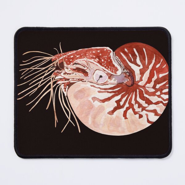 Item preview, NAUTILUS Sticker designed and sold by RikaWagner.
