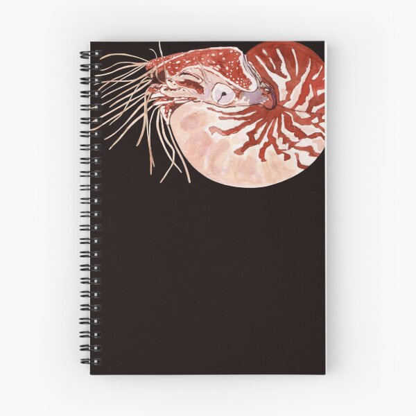 Item preview, NAUTILUS Sticker designed and sold by RikaWagner.
