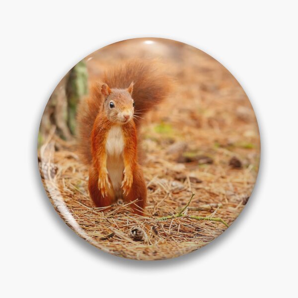 Item preview, I didn't hide the nuts. designed and sold by JLP ARTWORKS.