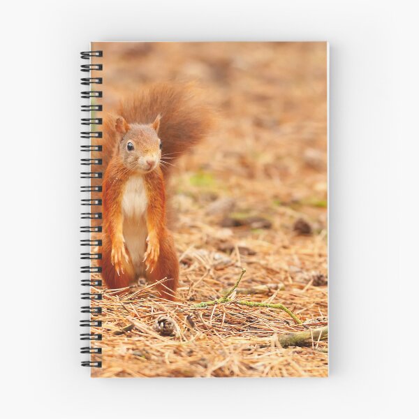Item preview, I didn't hide the nuts. designed and sold by JLP ARTWORKS.
