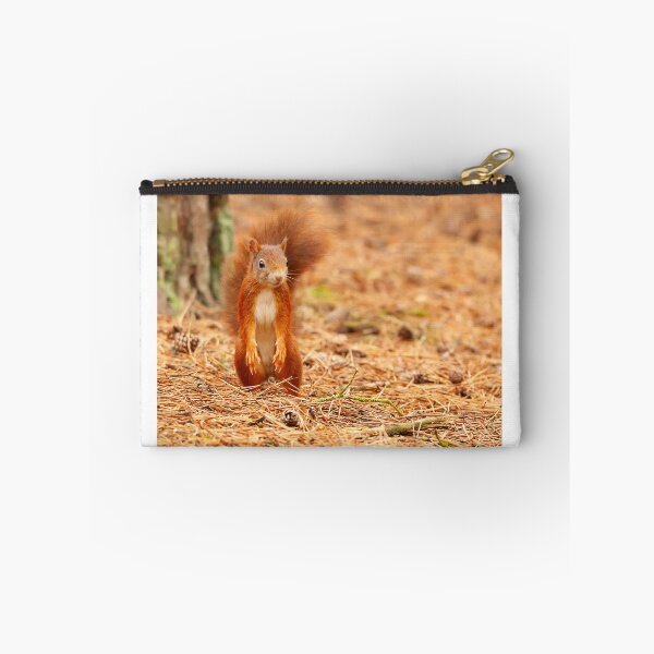 Item preview, I didn't hide the nuts. designed and sold by JLP ARTWORKS.