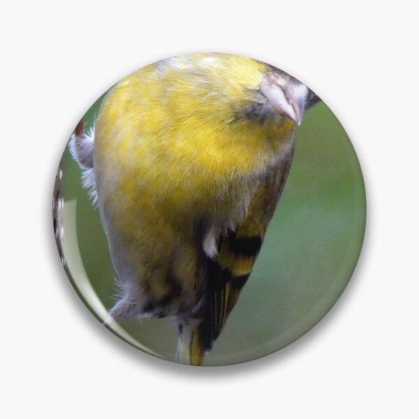 Item preview, Siskin designed and sold by KathleenDawson.