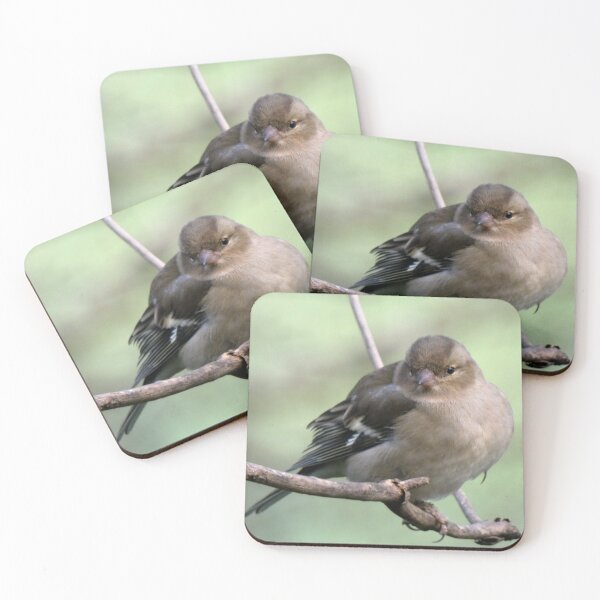 Item preview, Chaffinch designed and sold by KathleenDawson.