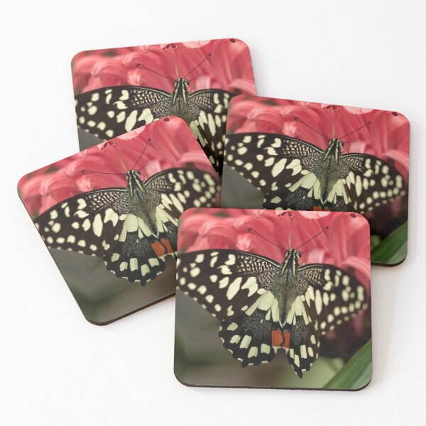 Item preview, Lime Swallowtail Butterfly designed and sold by JLP ARTWORKS.