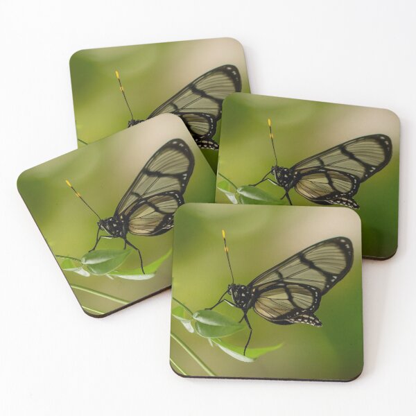 Item preview, Confusa Tigerwing Butterfly designed and sold by JLP ARTWORKS.