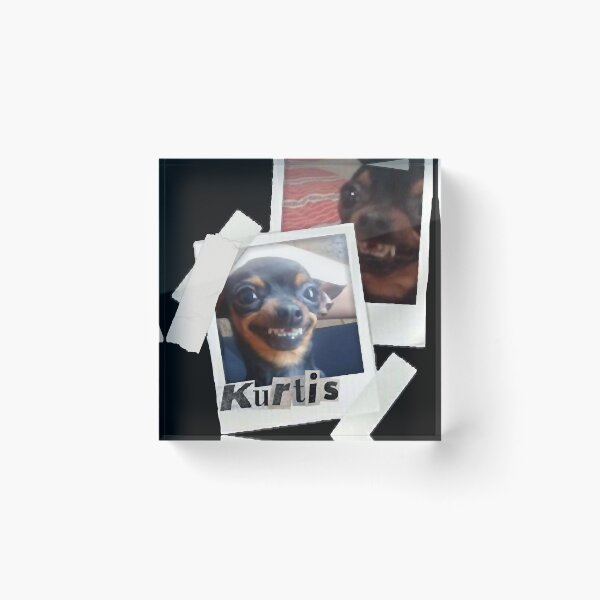 Item preview, kurtis polaroids designed and sold by NicoleRzepka12.