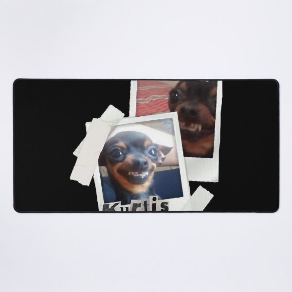 Item preview, kurtis polaroids designed and sold by NicoleRzepka12.