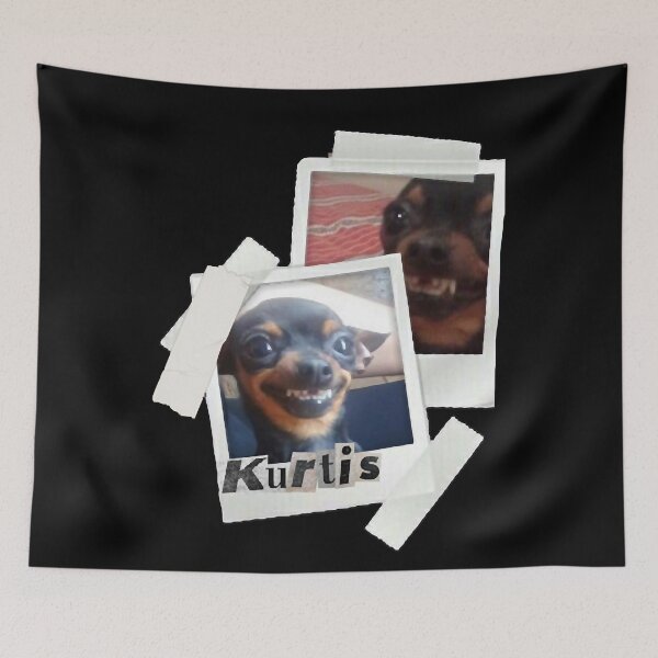 Artikelvorschau, kurtis polaroids entworfen und verkauft von NicoleRzepka12.