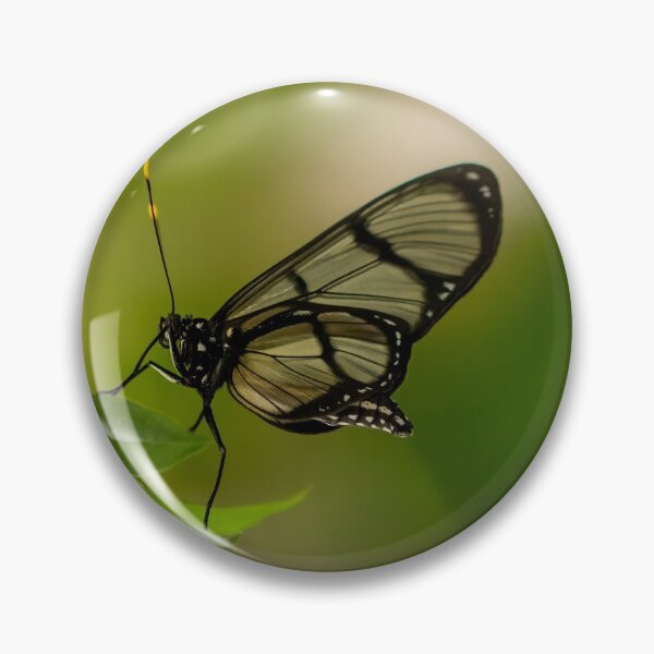 Item preview, Confusa Tigerwing Butterfly designed and sold by JLP ARTWORKS.