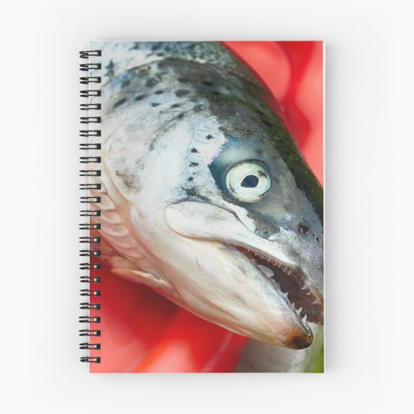 Artikelvorschau, raw salmon fish  entworfen und verkauft von Claraveritas.