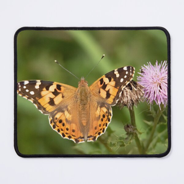 Item preview, Painted Lady Butterfly designed and sold by JLP ARTWORKS.