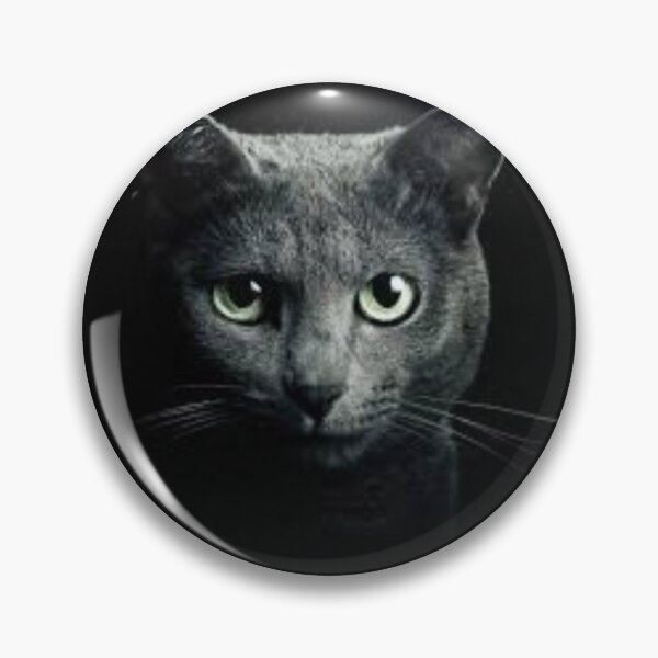 Artikelvorschau, Katzen-T-Shirts und andere Dinge entworfen und verkauft von Designernabil.
