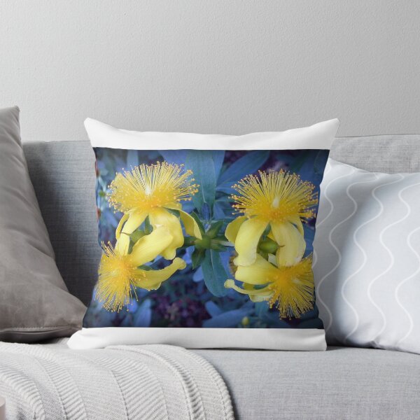 Item preview, Vamos a bailar designed and sold by Terry Sautter.