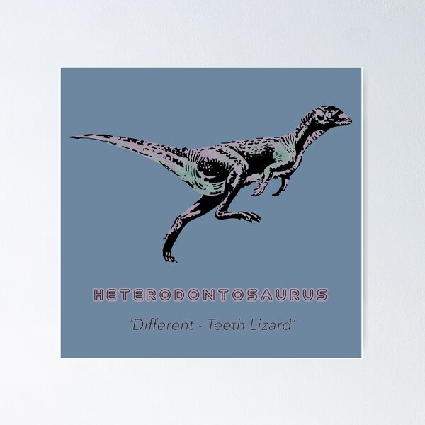 Item preview, Heterodontosaurus #2 designed and sold by TomSaturnV.