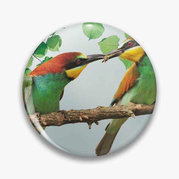 Item preview, Cute Bird Designs designed and sold by KrustyKrafty.