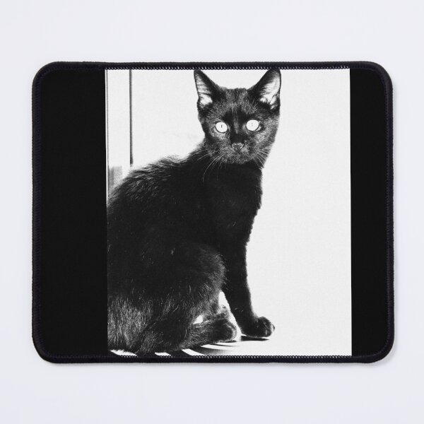 Item preview, Black Cat 3 - A Series designed and sold by Moonfired-Artfx.
