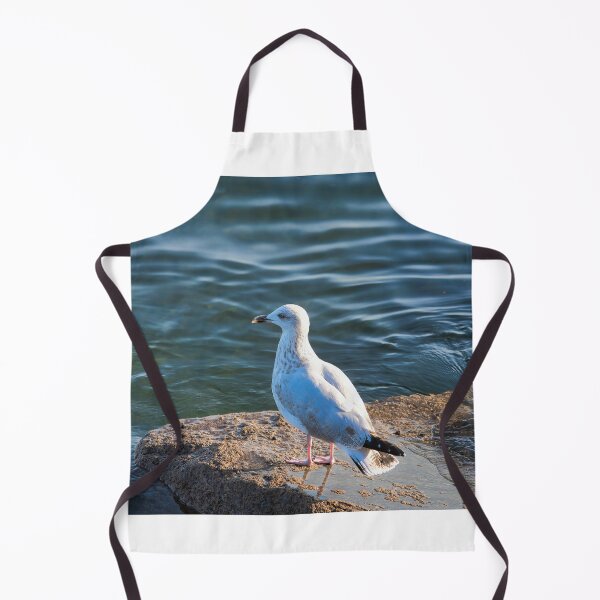 Item preview, Immature Herring Gull on a Rock by the Water designed and sold by Dorset Girl.