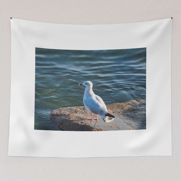 Item preview, Immature Herring Gull on a Rock by the Water designed and sold by Dorset Girl.