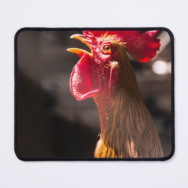 Item preview, rning rooster.mo designed and sold by Nino rocha fotografia.
