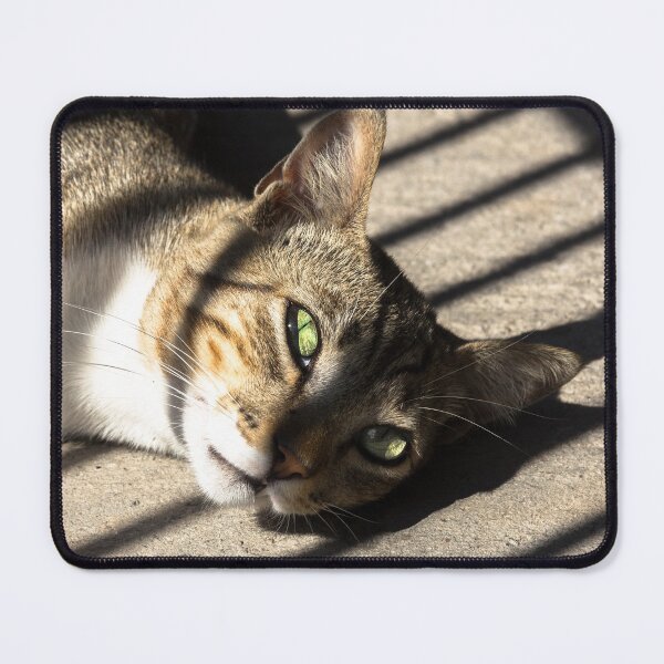 Item preview, bath of light. designed and sold by Nino rocha fotografia.