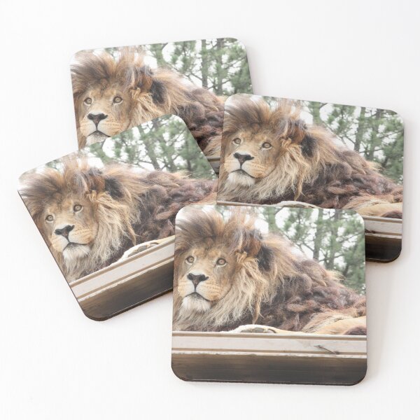 Item preview, African Lion designed and sold by Art-Safari.
