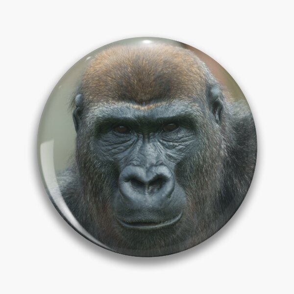 Item preview, Gorilla Lope Pose designed and sold by rawshutterbug.